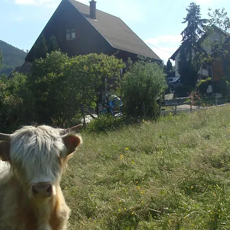 Le Coucou Breitenau